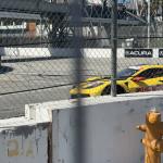 2023lbgp_033 (April 15, 2023)